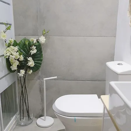 Design Studio By Homing Porto