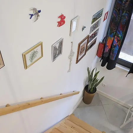 Design Studio By Homing